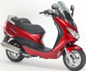2008 Peugeot Elystar 50 photo